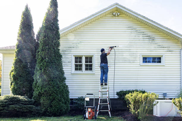Best Vinyl Siding Pressure Washing in Hanover, MN